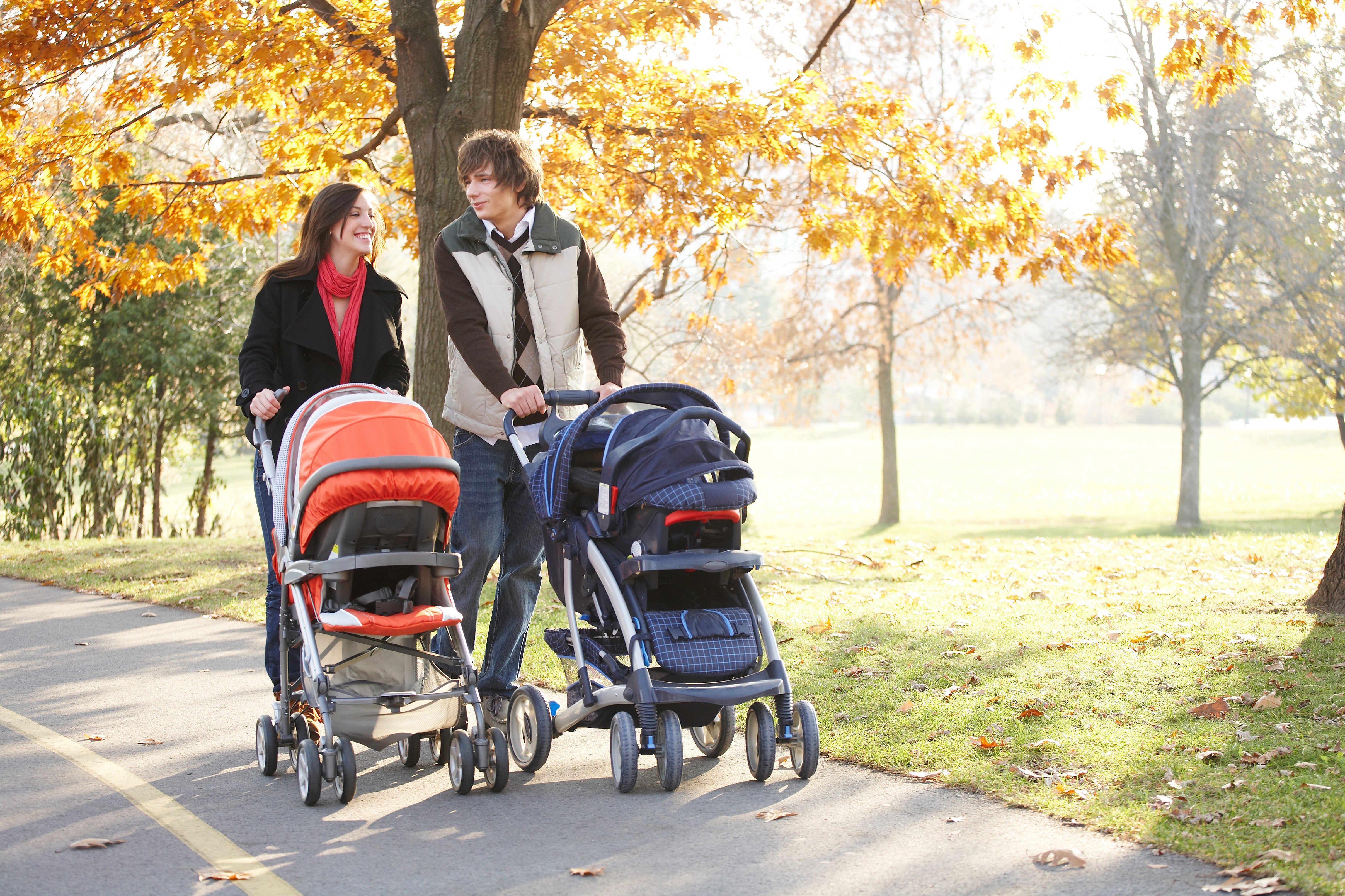 aer lingus pram